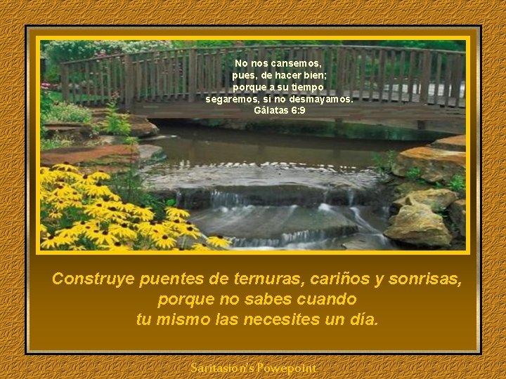 No nos cansemos, pues, de hacer bien; porque a su tiempo segaremos, si no No nos cansemos, pues, de hacer bien; porque a su tiempo segaremos, si no