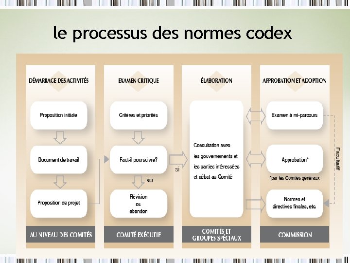 le processus des normes codex le processus des normes codex
