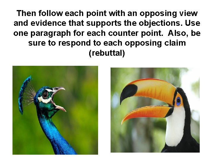 Then follow each point with an opposing view and evidence that supports the objections.