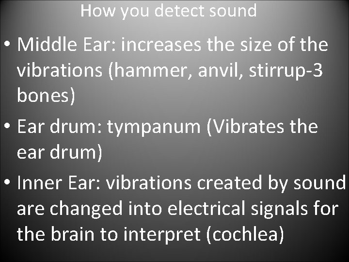 How you detect sound • Middle Ear: increases the size of the vibrations (hammer,