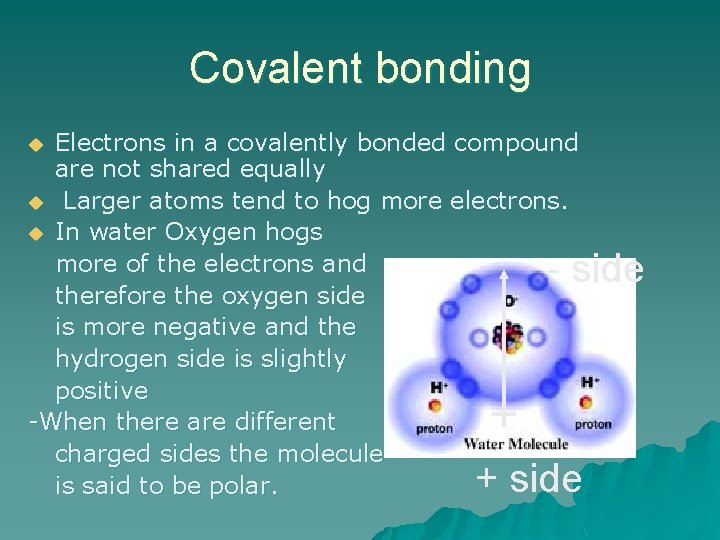 Covalent bonding Electrons in a covalently bonded compound are not shared equally u Larger