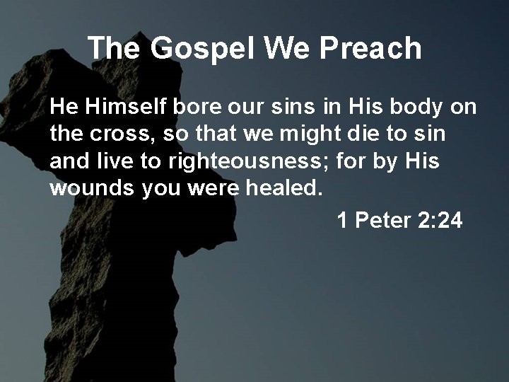 The Gospel We Preach He Himself bore our sins in His body on the The Gospel We Preach He Himself bore our sins in His body on the
