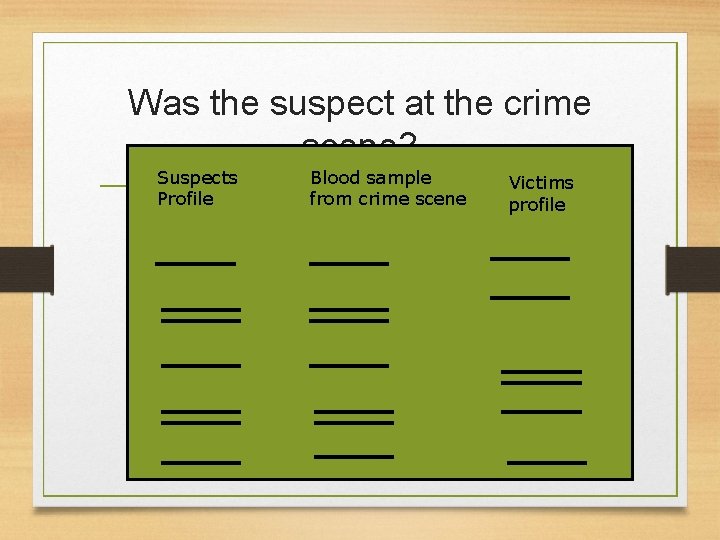 Was the suspect at the crime scene? Suspects Profile Blood sample from crime scene