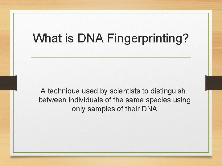 What is DNA Fingerprinting? A technique used by scientists to distinguish between individuals of