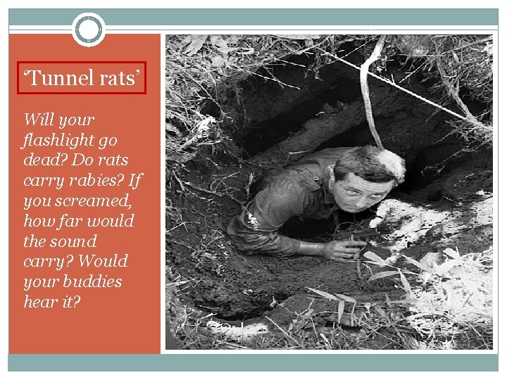 ‘Tunnel rats’ Will your flashlight go dead? Do rats carry rabies? If you screamed,