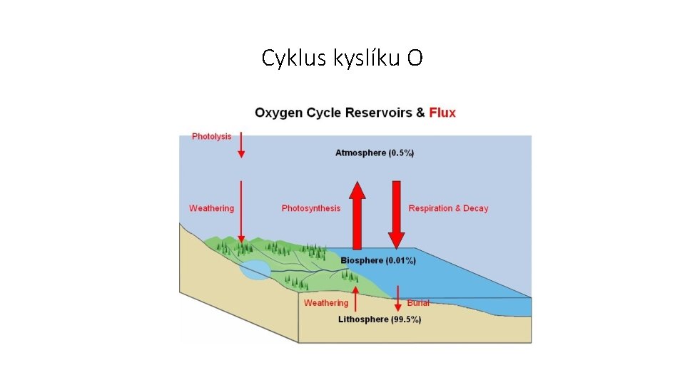Cyklus kyslíku O 