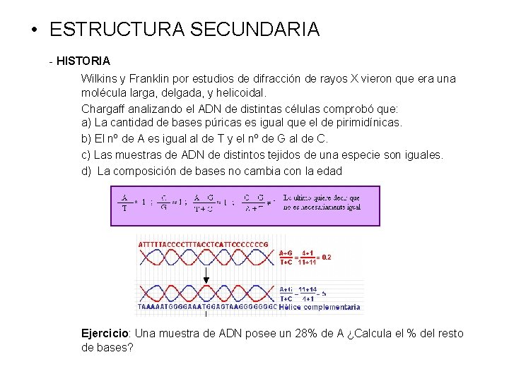  • ESTRUCTURA SECUNDARIA - HISTORIA Wilkins y Franklin por estudios de difracción de