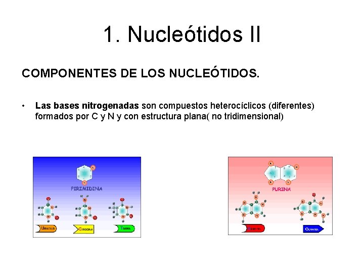 1. Nucleótidos II COMPONENTES DE LOS NUCLEÓTIDOS. • Las bases nitrogenadas son compuestos heterocíclicos