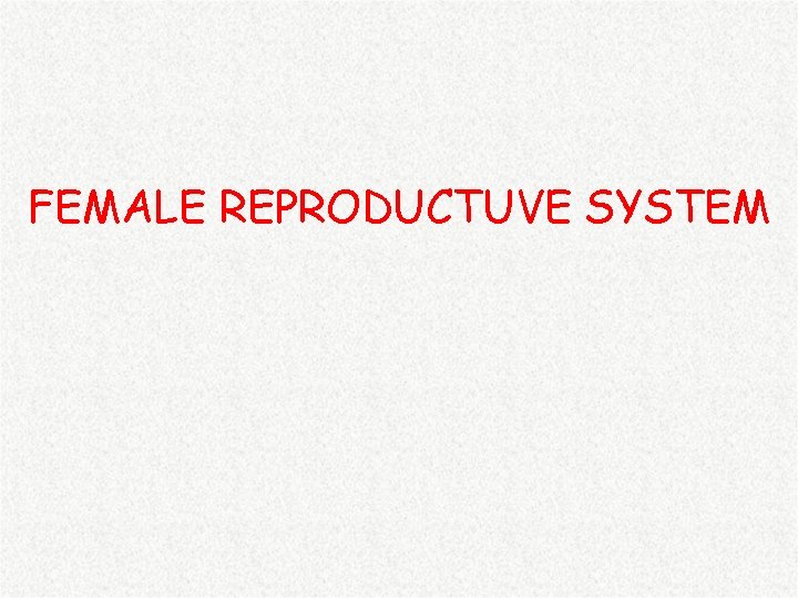 FEMALE REPRODUCTUVE SYSTEM 