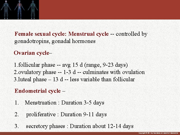 Female sexual cycle: Menstrual cycle -- controlled by gonadotropins, gonadal hormones Ovarian cycle– 1.