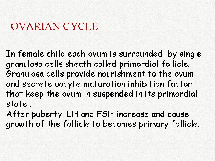 OVARIAN CYCLE In female child each ovum is surrounded by single granulosa cells sheath