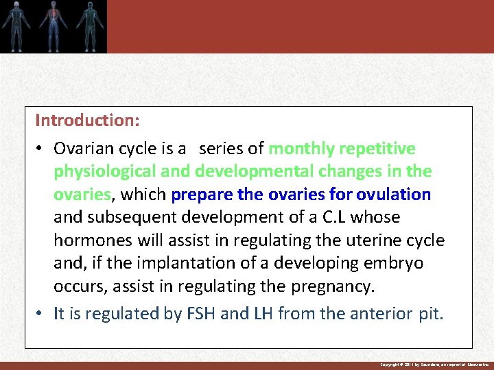 Introduction: • Ovarian cycle is a series of monthly repetitive physiological and developmental changes