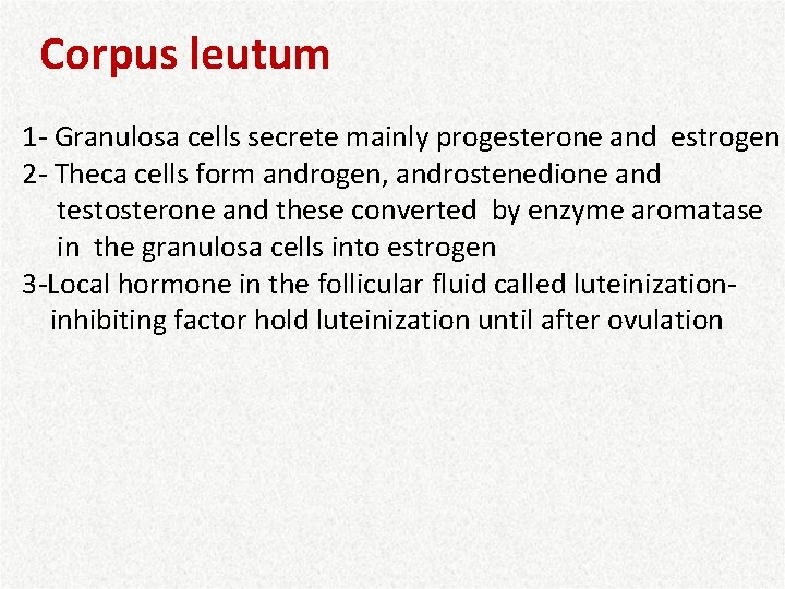 Corpus leutum 1 - Granulosa cells secrete mainly progesterone and estrogen 2 - Theca
