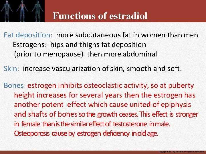 Functions of estradiol Fat deposition: more subcutaneous fat in women than men Estrogens: hips
