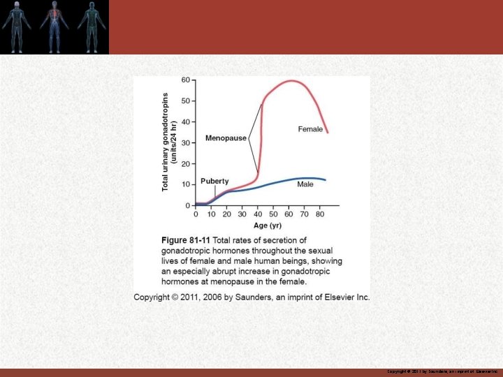 Copyright © 2011 by Saunders, an imprint of Elsevier Inc. 