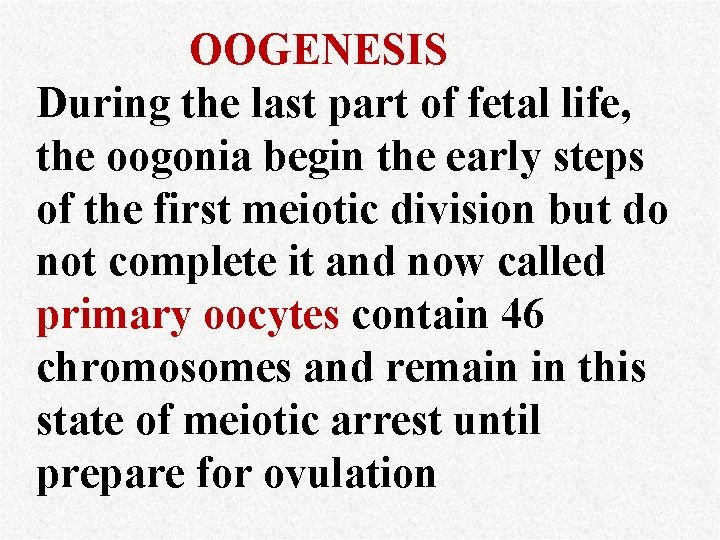 OOGENESIS During the last part of fetal life, the oogonia begin the early steps