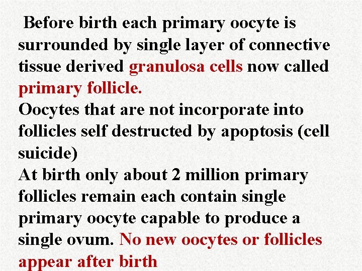 Before birth each primary oocyte is surrounded by single layer of connective tissue derived