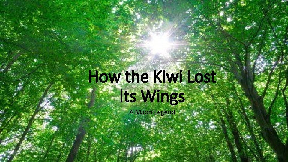 How the Kiwi Lost Its Wings A Maori Legend How the Kiwi Lost Its Wings A Maori Legend
