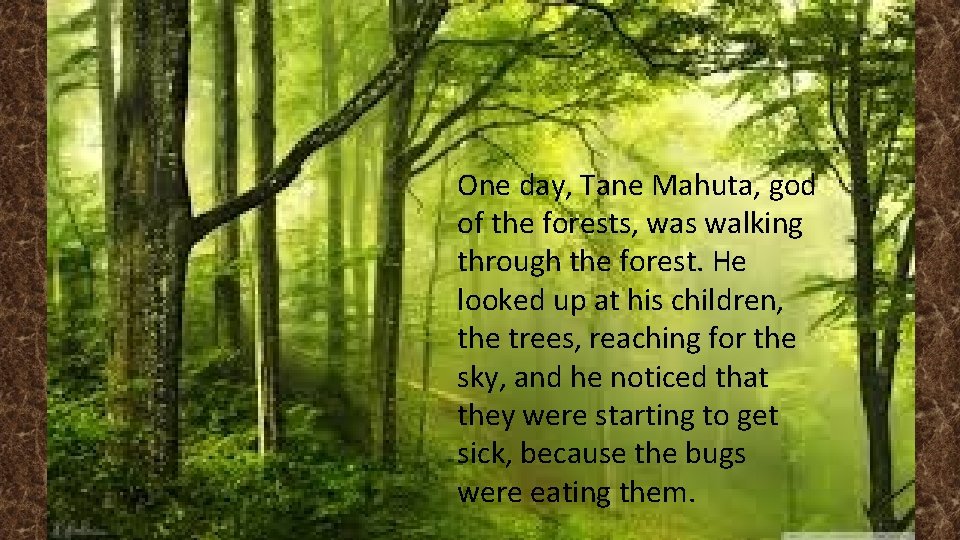 One day, Tane Mahuta, god of the forests, was walking through the forest. He One day, Tane Mahuta, god of the forests, was walking through the forest. He