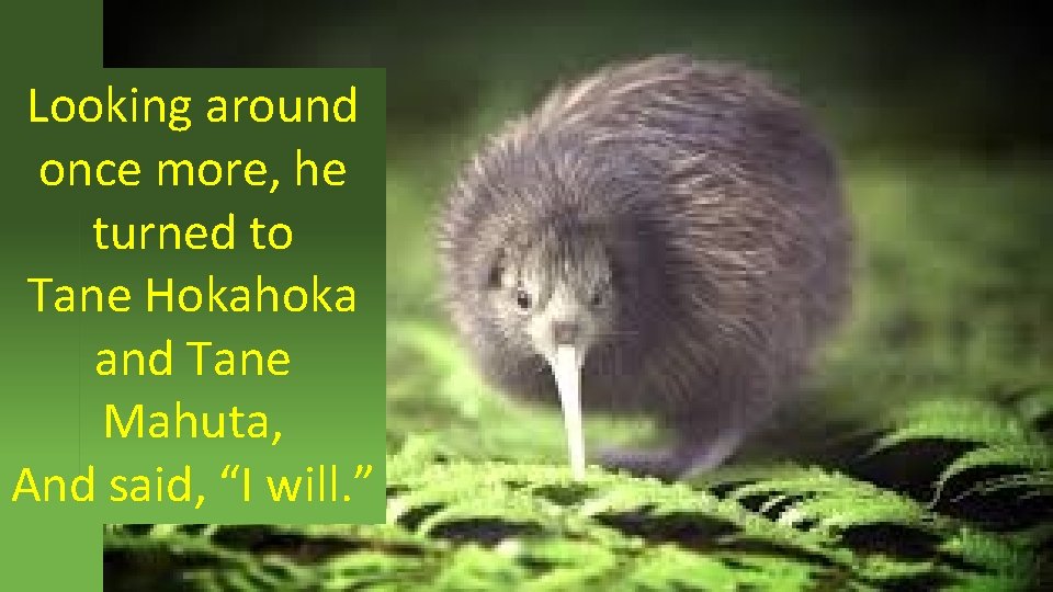 Looking around once more, he turned to Tane Hokahoka and Tane Mahuta, And said, Looking around once more, he turned to Tane Hokahoka and Tane Mahuta, And said,