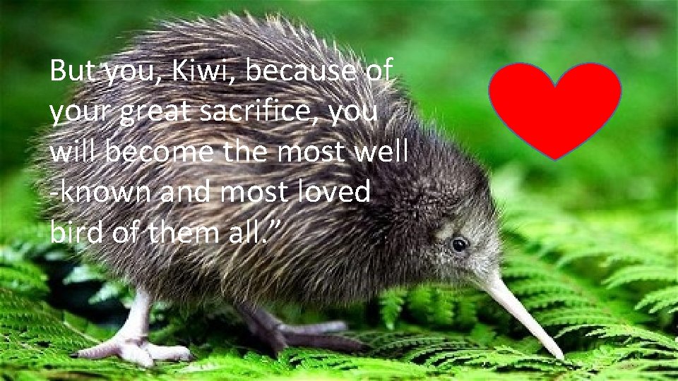 But you, Kiwi, because of your great sacrifice, you will become the most well But you, Kiwi, because of your great sacrifice, you will become the most well
