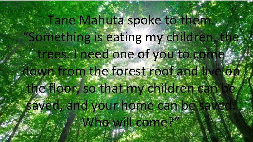 Tane Mahuta spoke to them. “Something is eating my children, the trees. I need Tane Mahuta spoke to them. “Something is eating my children, the trees. I need