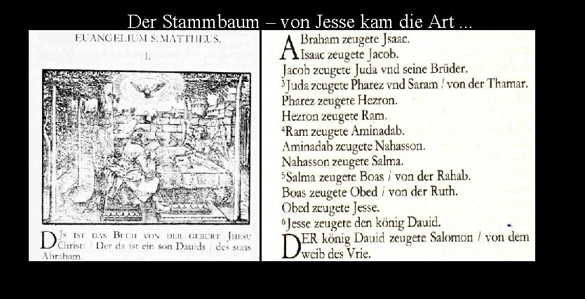 Der Stammbaum – von Jesse kam die Art. . . 