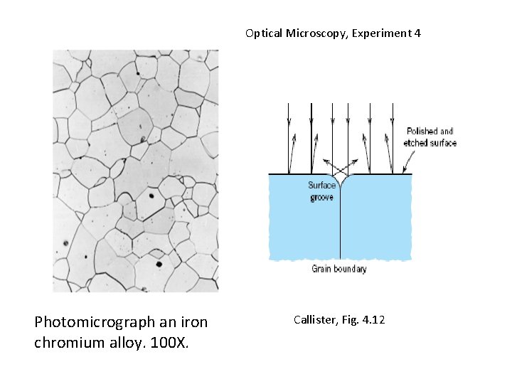Optical Microscopy, Experiment 4 Photomicrograph an iron chromium alloy. 100 X. Callister, Fig. 4.