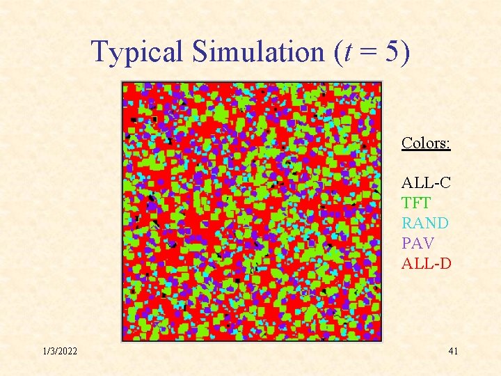 Typical Simulation (t = 5) Colors: ALL-C TFT RAND PAV ALL-D 1/3/2022 41 