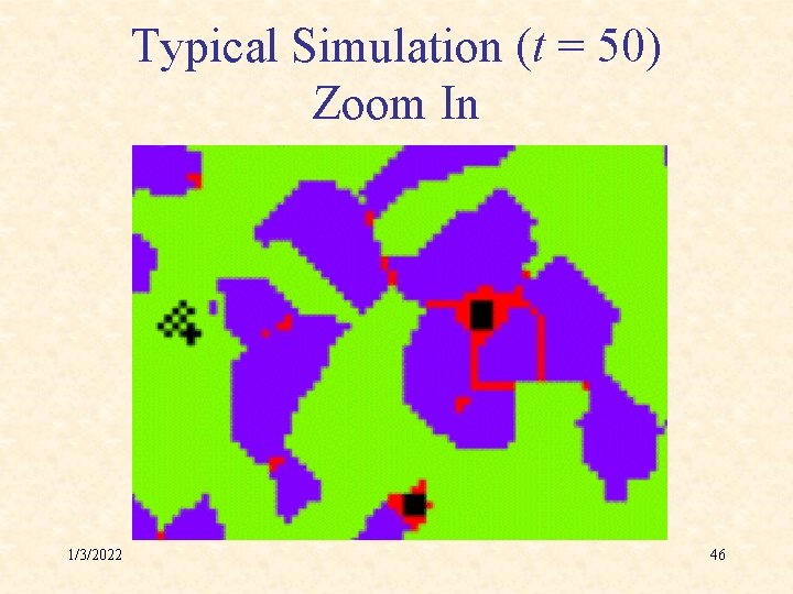 Typical Simulation (t = 50) Zoom In 1/3/2022 46 