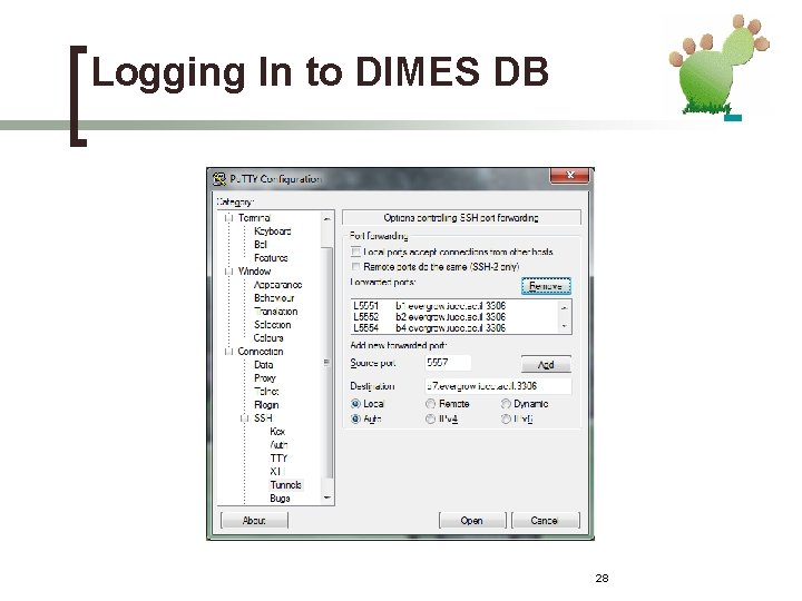 Logging In to DIMES DB 28 