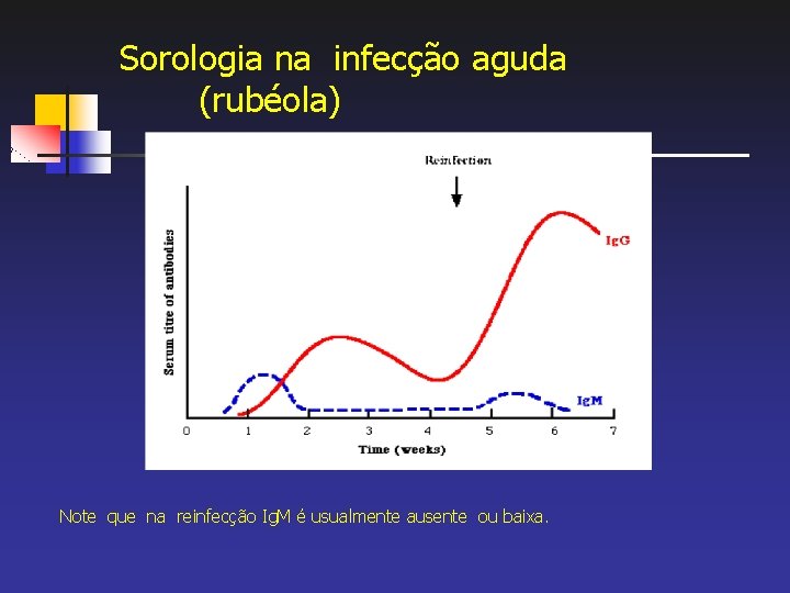 Sorologia na infecção aguda (rubéola) Note que na reinfecção Ig. M é usualmente ausente