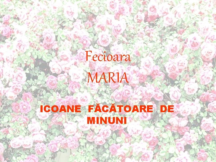 Fecioara MARIA ICOANE FĂCĂTOARE DE MINUNI 