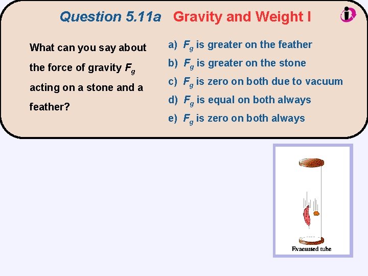 Question 5. 11 a Gravity and Weight I What can you say about a)