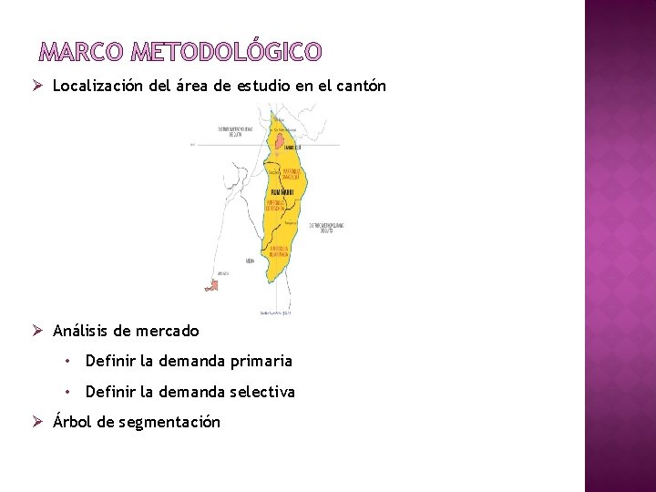 MARCO METODOLÓGICO Ø Localización del área de estudio en el cantón Ø Análisis de