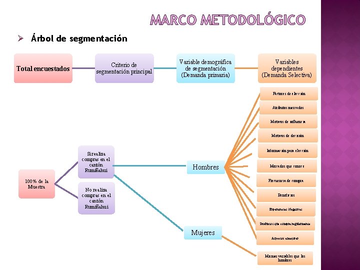 MARCO METODOLÓGICO Ø Árbol de segmentación Total encuestados Criterio de segmentación principal Variable demográfica