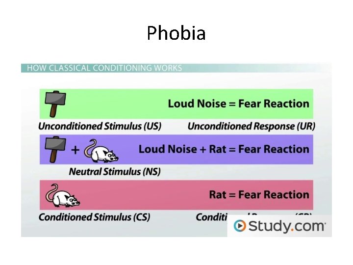 Phobia 