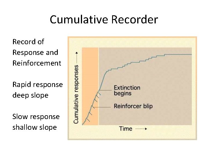 Cumulative Recorder Record of Response and Reinforcement Rapid response deep slope Slow response shallow