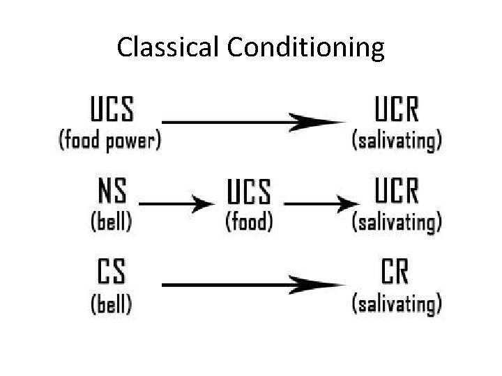 Classical Conditioning 