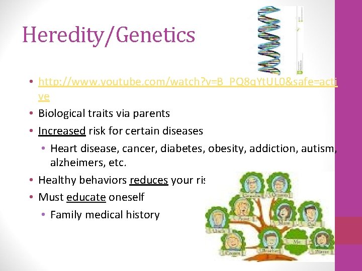 Heredity/Genetics • http: //www. youtube. com/watch? v=B_PQ 8 q. Yt. UL 0&safe=acti ve •