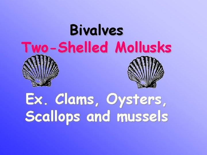 Bivalves Two-Shelled Mollusks Ex. Clams, Oysters, Scallops and mussels 