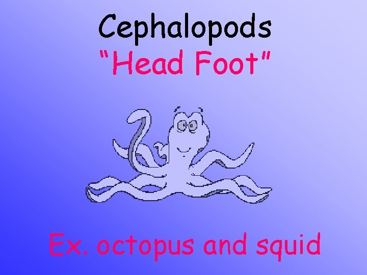 Cephalopods “Head Foot” Ex. octopus and squid 