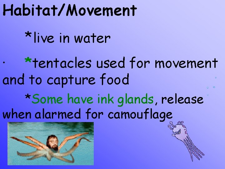 Habitat/Movement *live in water · *tentacles used for movement and to capture food *Some