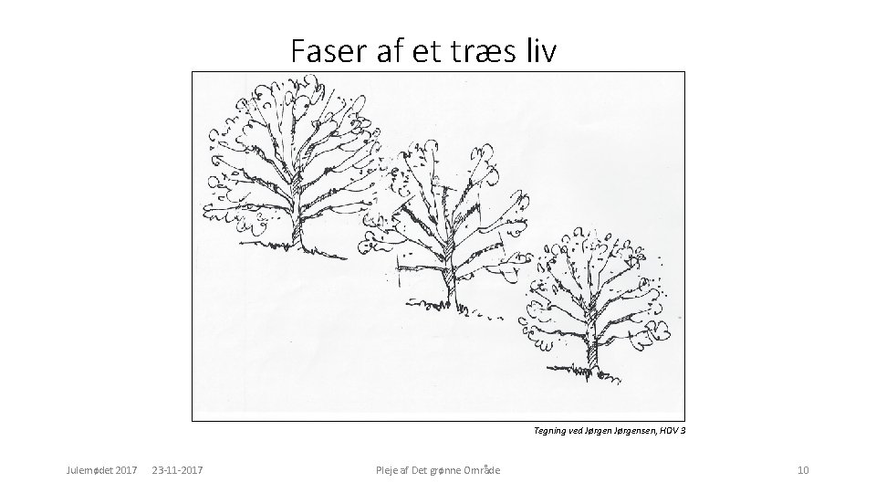 Faser af et træs liv Tegning ved Jørgensen, HDV 3 Julemødet 2017 23 -11