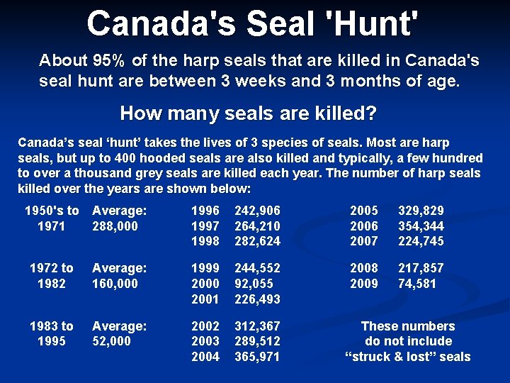 Canada's Seal 'Hunt' About 95% of the harp seals that are killed in Canada's