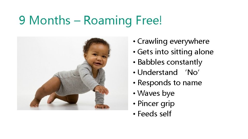 9 Months – Roaming Free! • Crawling everywhere • Gets into sitting alone •