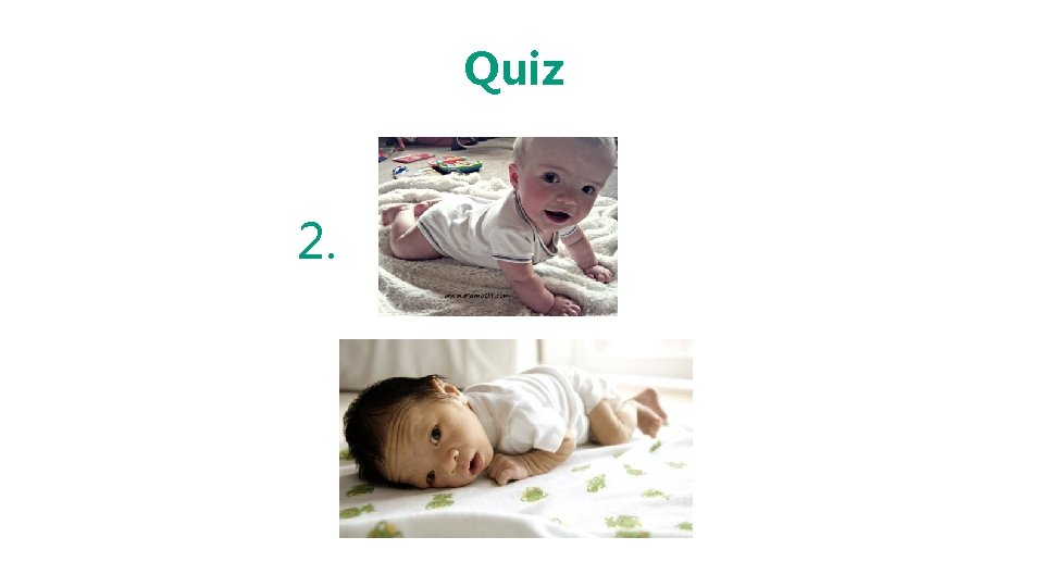 Quiz 2. 