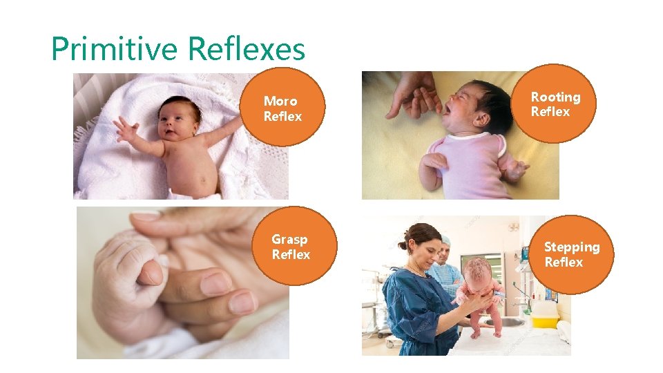 Primitive Reflexes Moro Reflex Grasp Reflex Rooting Reflex Stepping Reflex 