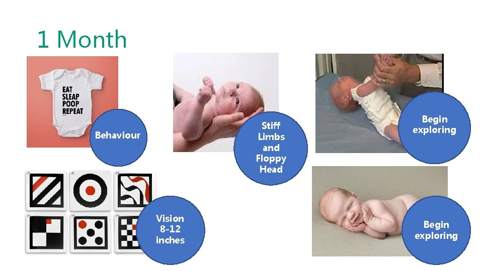1 Month Stiff Limbs and Floppy Head Behaviour Vision 8 -12 inches Begin exploring
