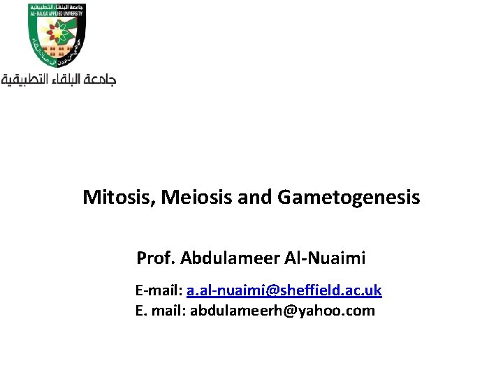 Mitosis, Meiosis and Gametogenesis Prof. Abdulameer Al-Nuaimi E-mail: a. al-nuaimi@sheffield. ac. uk E. mail: